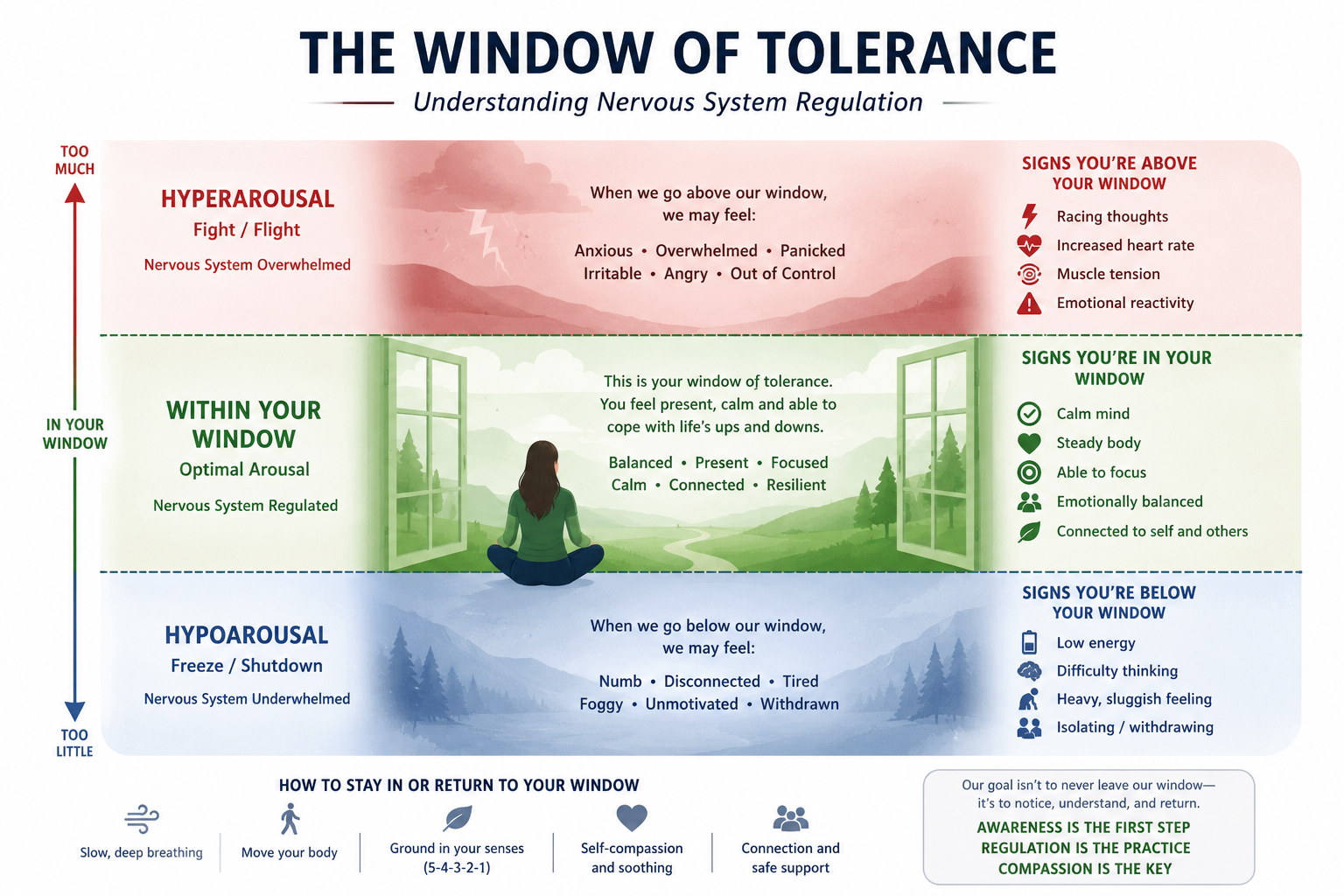 Infographic titled “The Window of Tolerance: Understanding Nervous System Regulation.” The graphic is divided into three horizontal sections representing nervous system states. The top red section, labeled “Hyperarousal,” describes fight-or-flight responses such as anxiety, overwhelm, racing thoughts, muscle tension, and emotional reactivity. The middle green section, labeled “Within Your Window,” represents a regulated nervous system with feelings of calm, balance, focus, resilience, and connection. A person is shown meditating in front of open windows overlooking a peaceful landscape. The bottom blue section, labeled “Hypoarousal,” describes freeze or shutdown states including numbness, low energy, fogginess, withdrawal, and disconnection. A vertical arrow on the left shows movement from “too much” activation at the top to “too little” activation at the bottom. Along the bottom are grounding and regulation tools including deep breathing, movement, sensory grounding, self-compassion, and supportive connection.